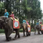 7 Tempat Rekreasi di Bogor